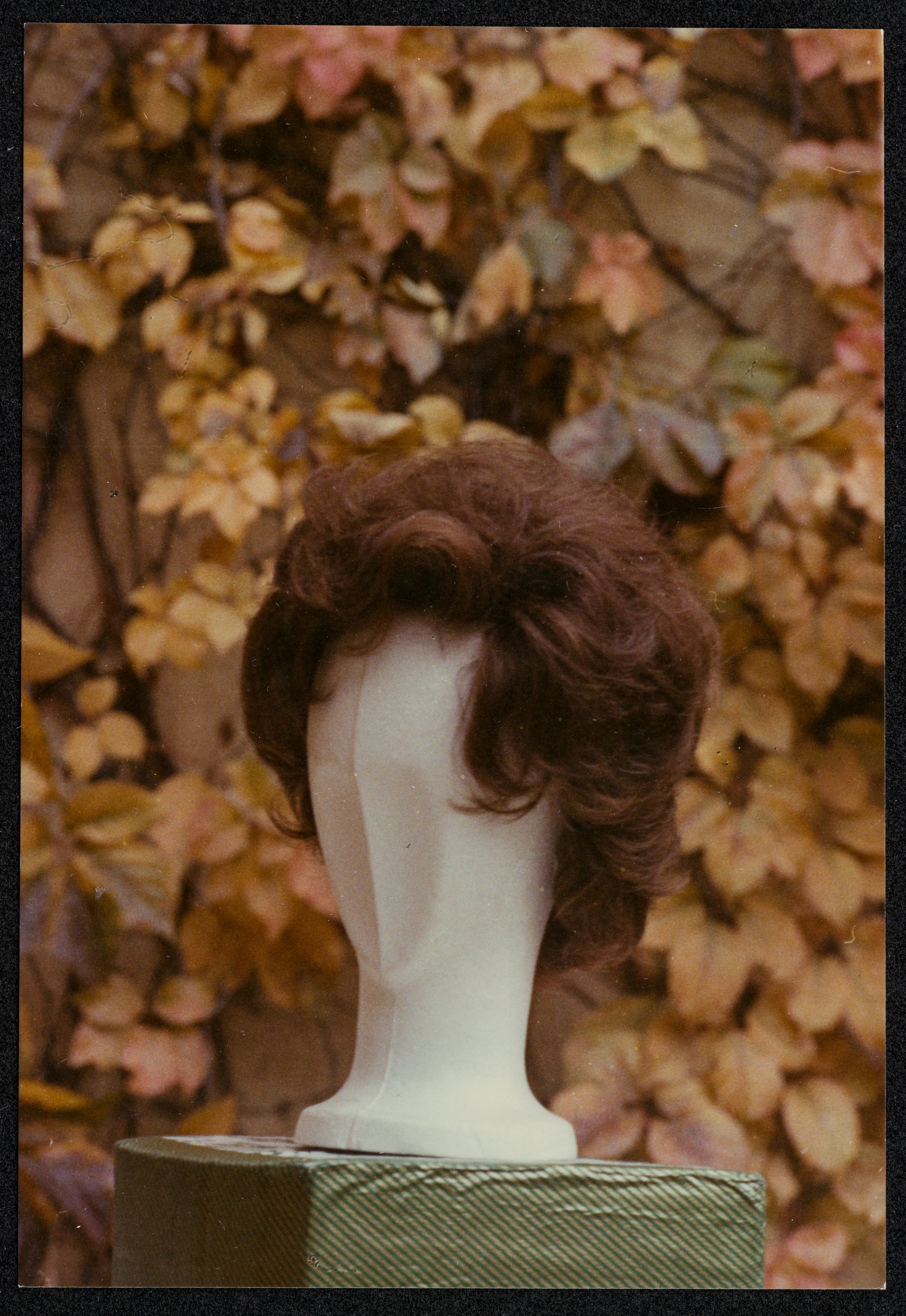 Manichini (positivo) di Balocchi, Vincenzo (XX)