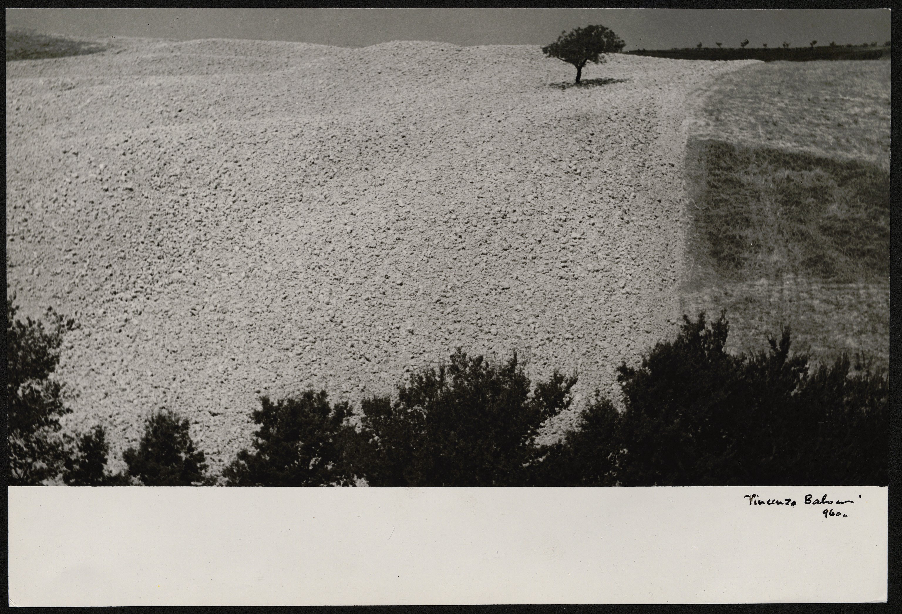 Paesaggi (positivo) di Balocchi, Vincenzo (XX)