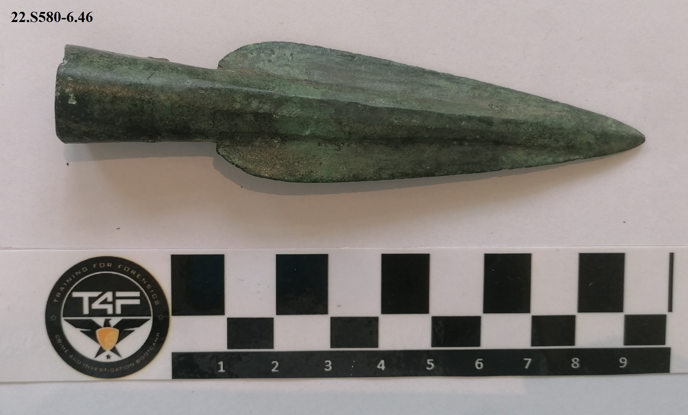 SINGOLO OGGETTO/ lancia, PERIODIZZAZIONI/ PROTOSTORIA/ Età del Bronzo