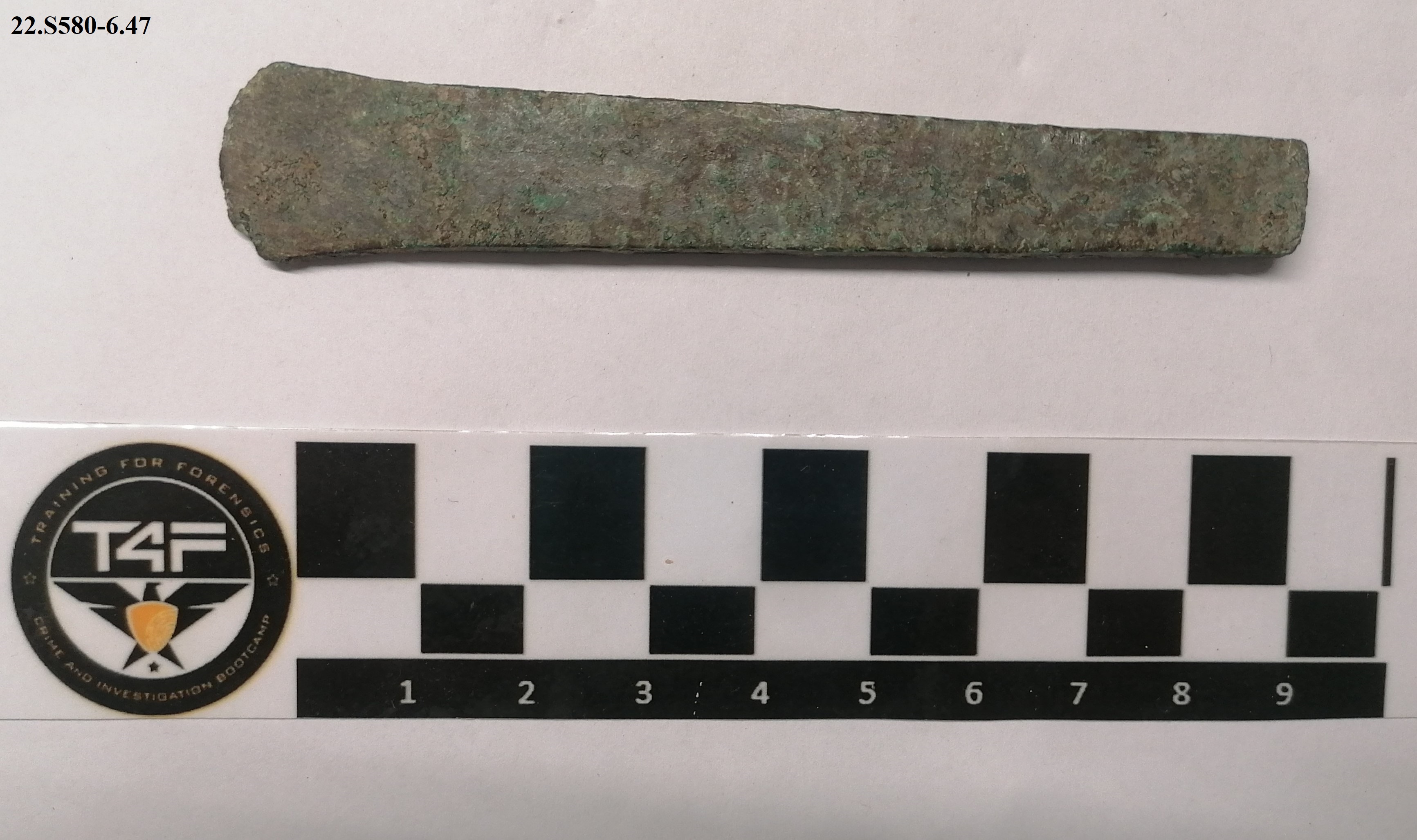 SINGOLO OGGETTO/ ascia, PERIODIZZAZIONI/ PROTOSTORIA/ Età del Bronzo