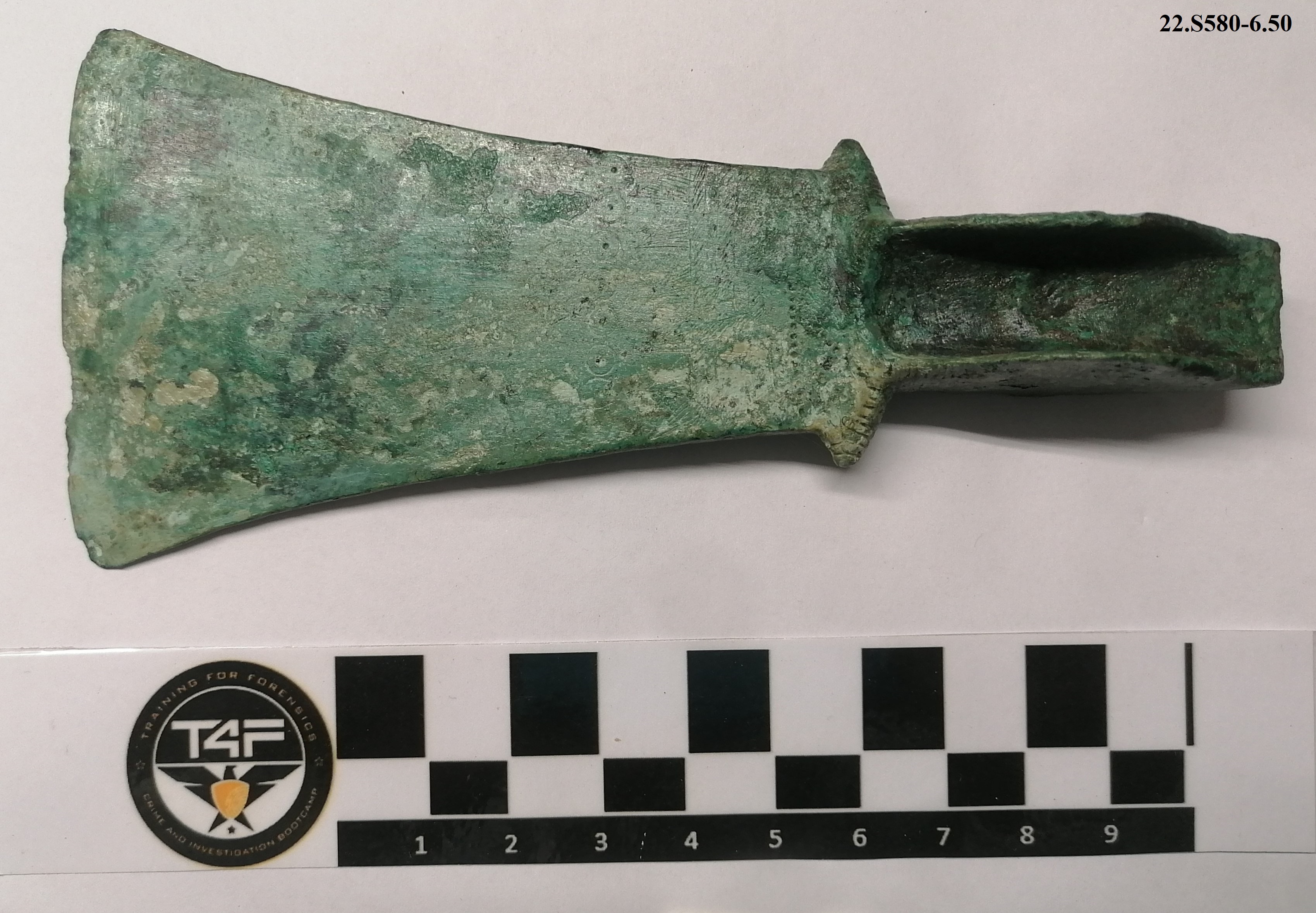 SINGOLO OGGETTO/ ascia, PERIODIZZAZIONI/ PROTOSTORIA/ Età del Bronzo