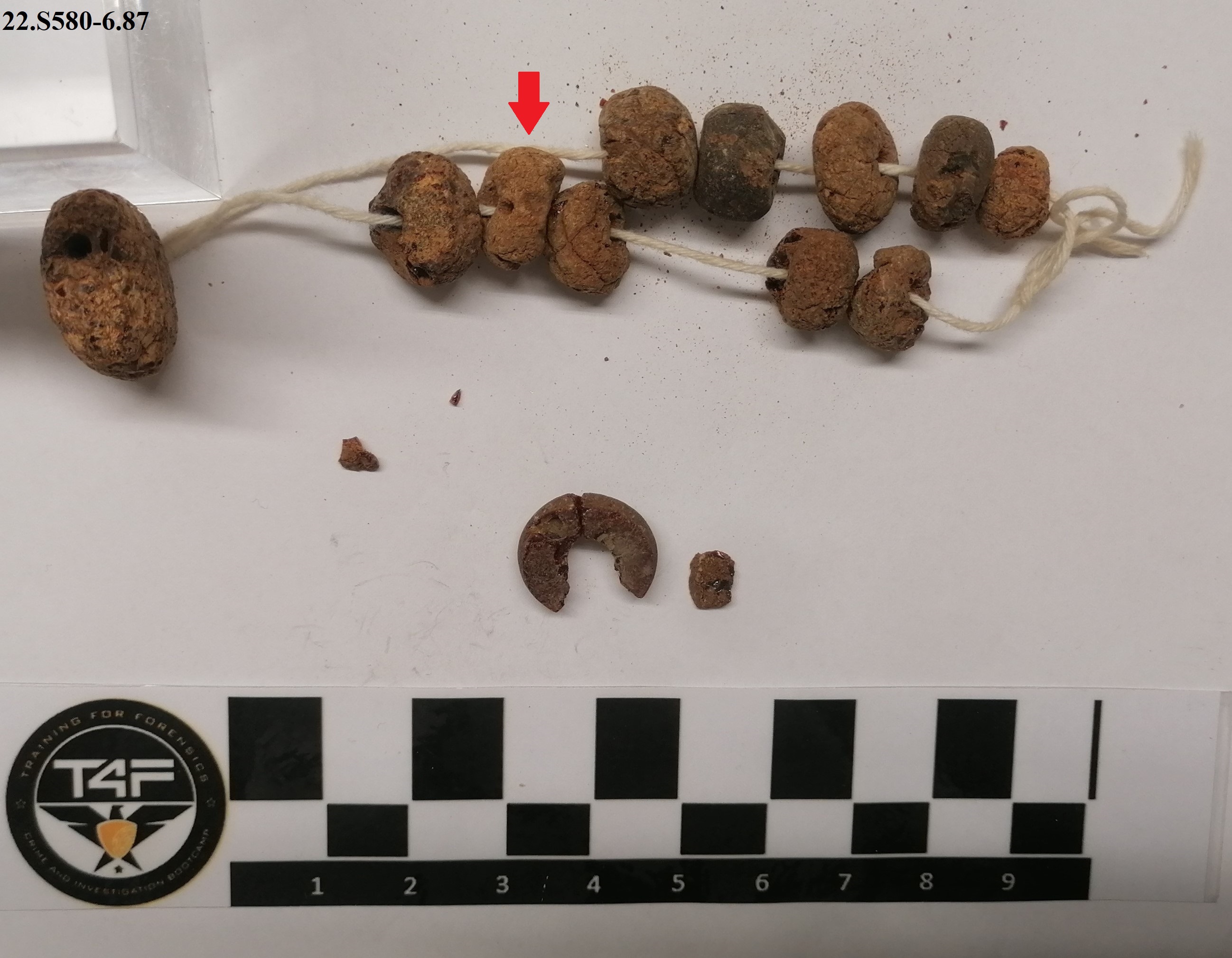 SINGOLO OGGETTO/ vago, SECOLI/ VI a.C