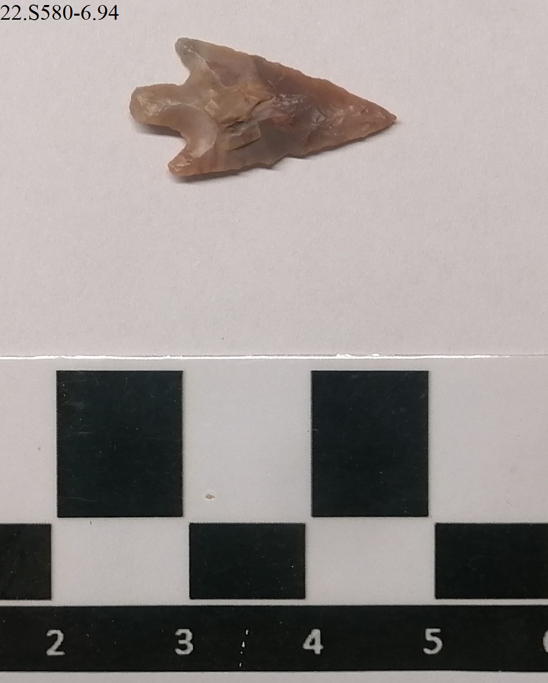 SINGOLO OGGETTO/ freccia, PERIODIZZAZIONI/ PREISTORIA/ Neolitico