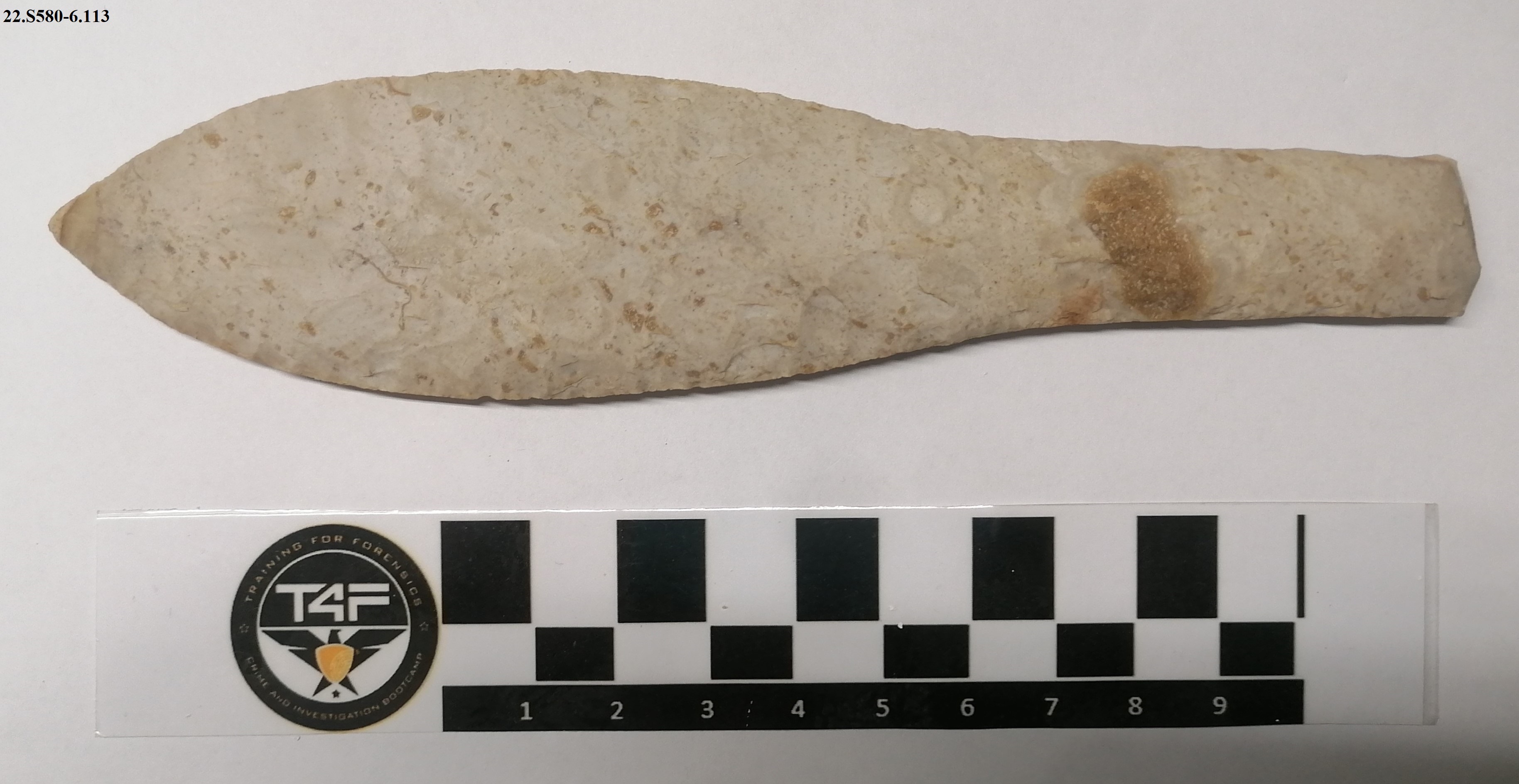 SINGOLO OGGETTO/ lama, PERIODIZZAZIONI/ PREISTORIA/ Paleolitico/ Paleolitico superiore