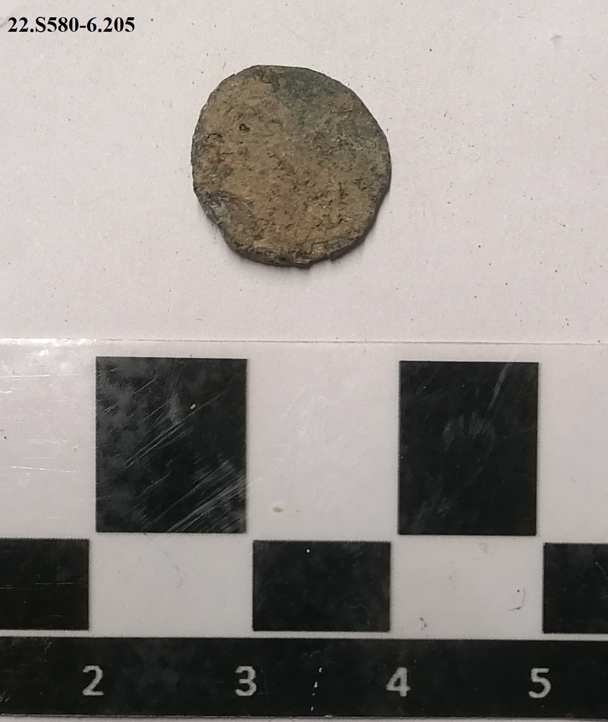 SINGOLO OGGETTO/ moneta, non determinabile