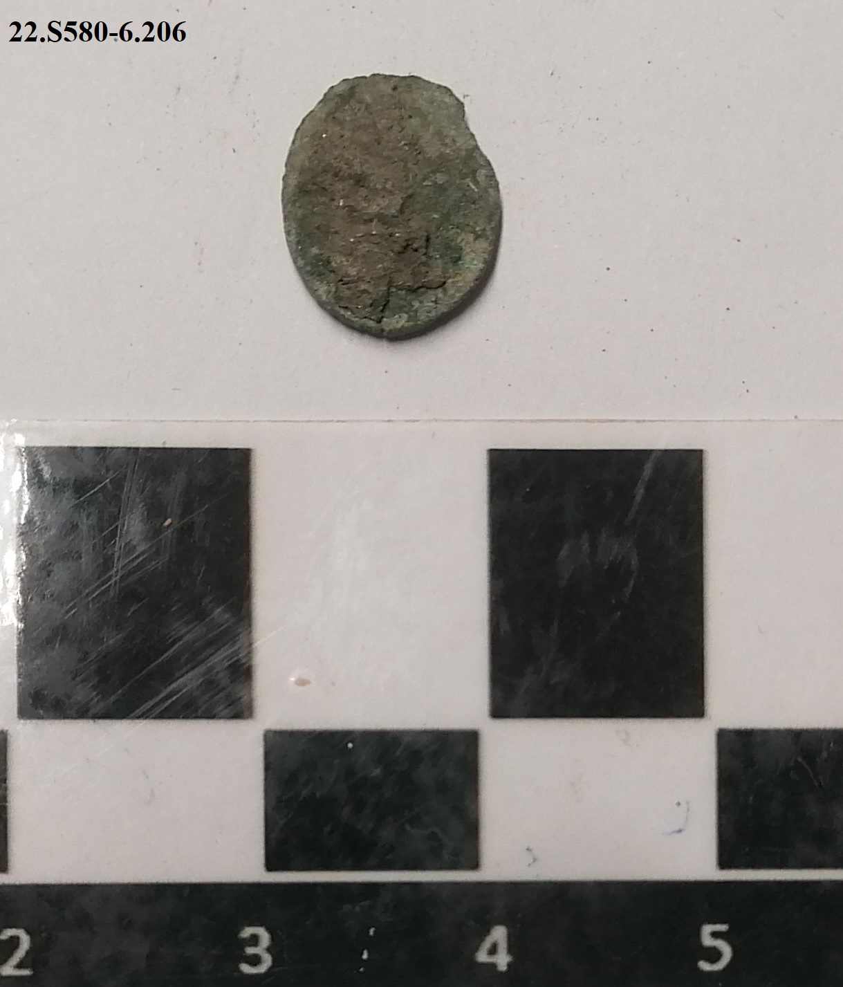 SINGOLO OGGETTO/ moneta, non determinabile