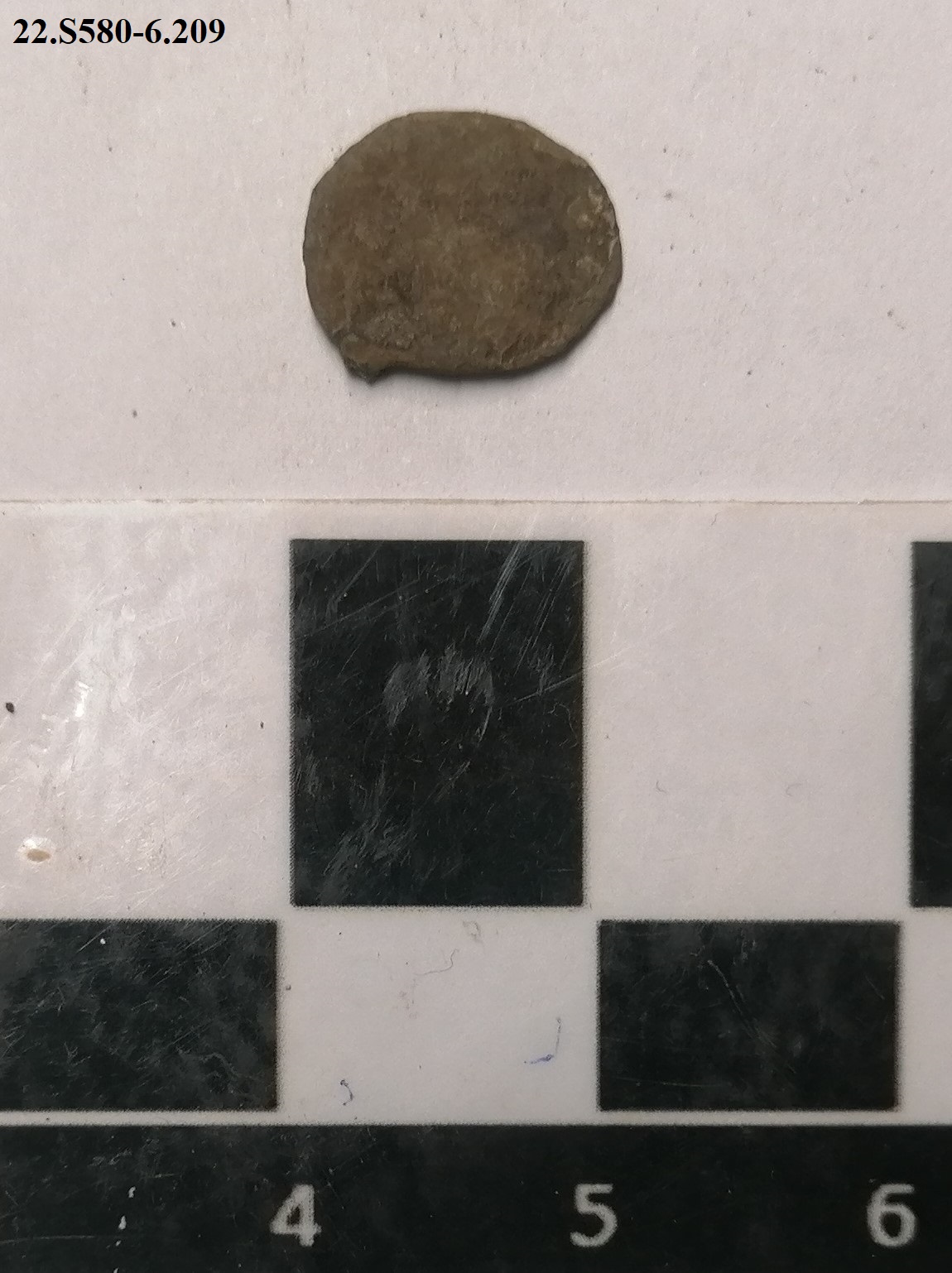 SINGOLO OGGETTO/ moneta, non determinabile