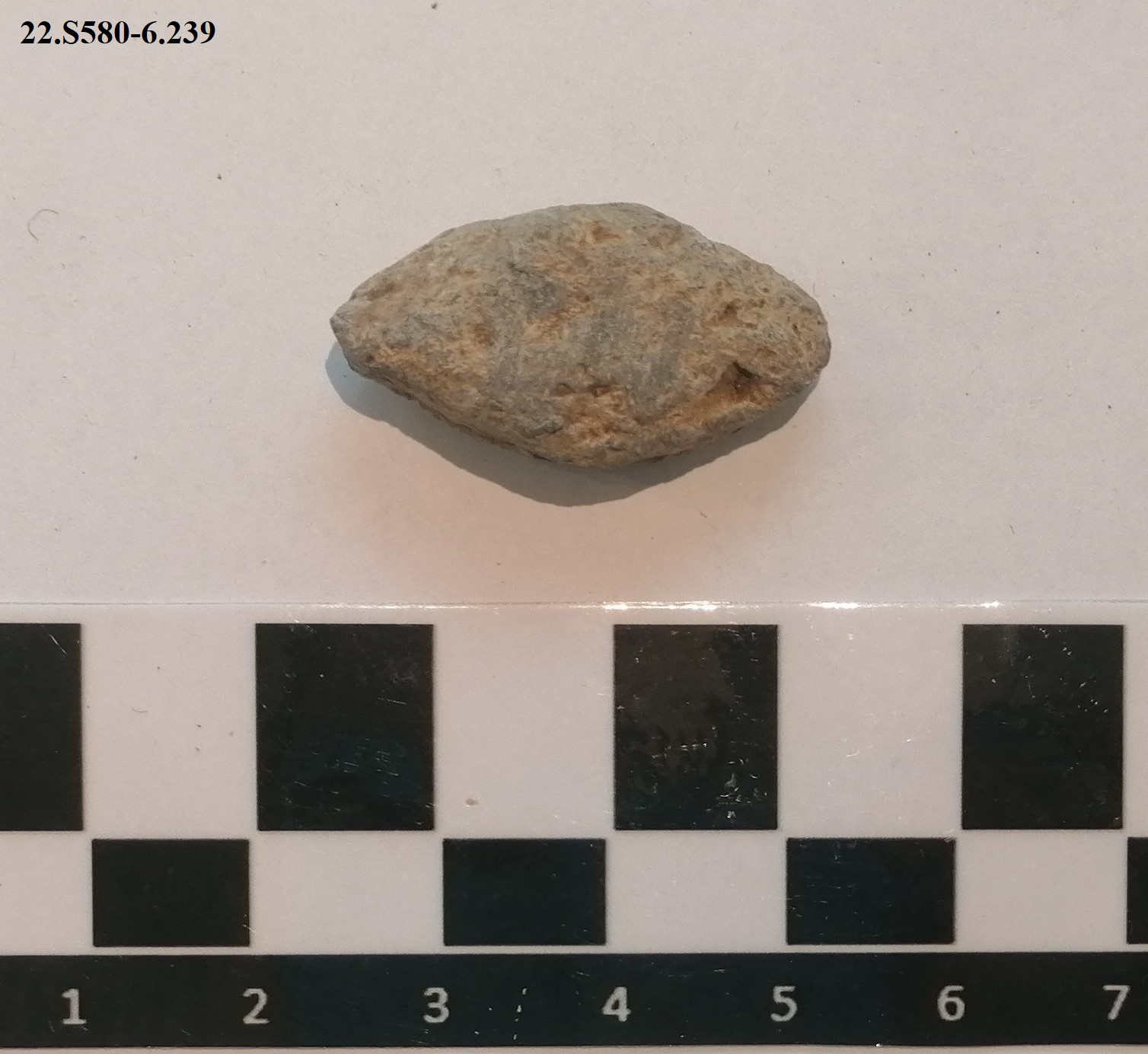 SINGOLO OGGETTO/ ghianda, PERIODIZZAZIONI/ STORIA/ Età antica/ Età romana