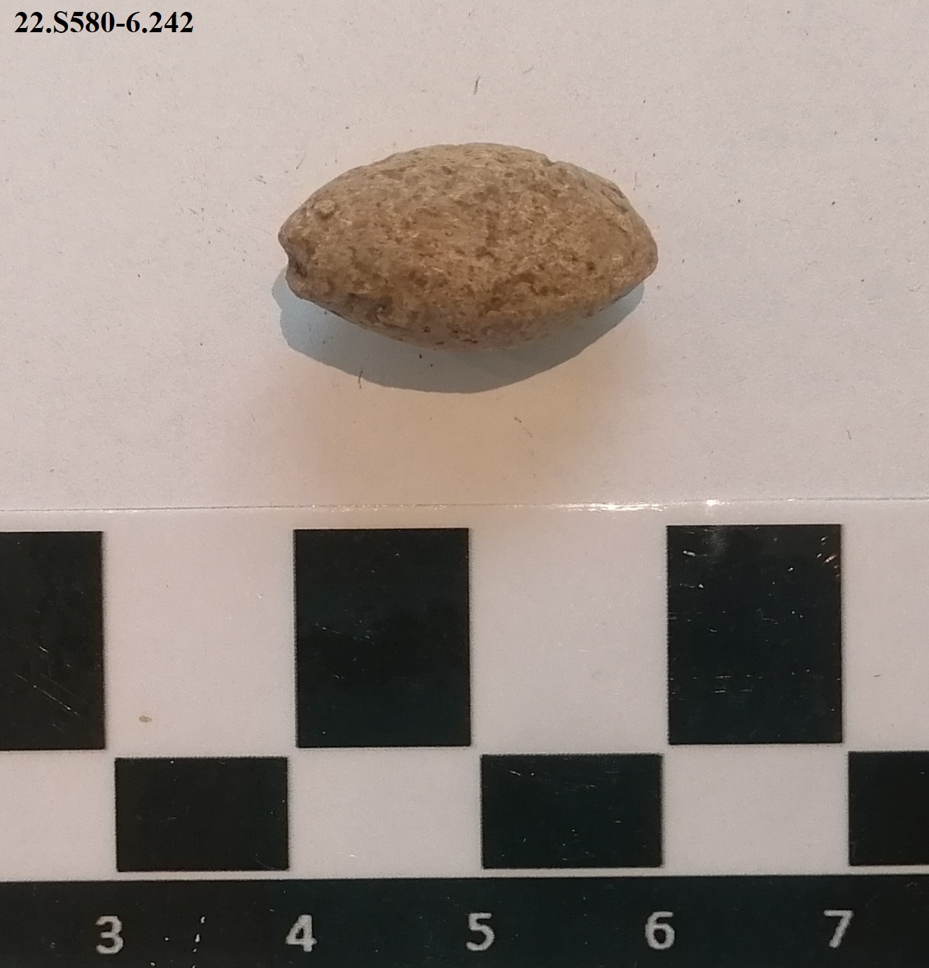 SINGOLO OGGETTO/ ghianda, PERIODIZZAZIONI/ STORIA/ Età antica/ Età romana