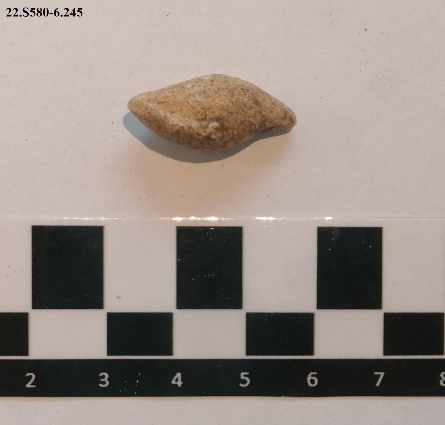 SINGOLO OGGETTO/ ghianda, PERIODIZZAZIONI/ STORIA/ Età antica/ Età romana