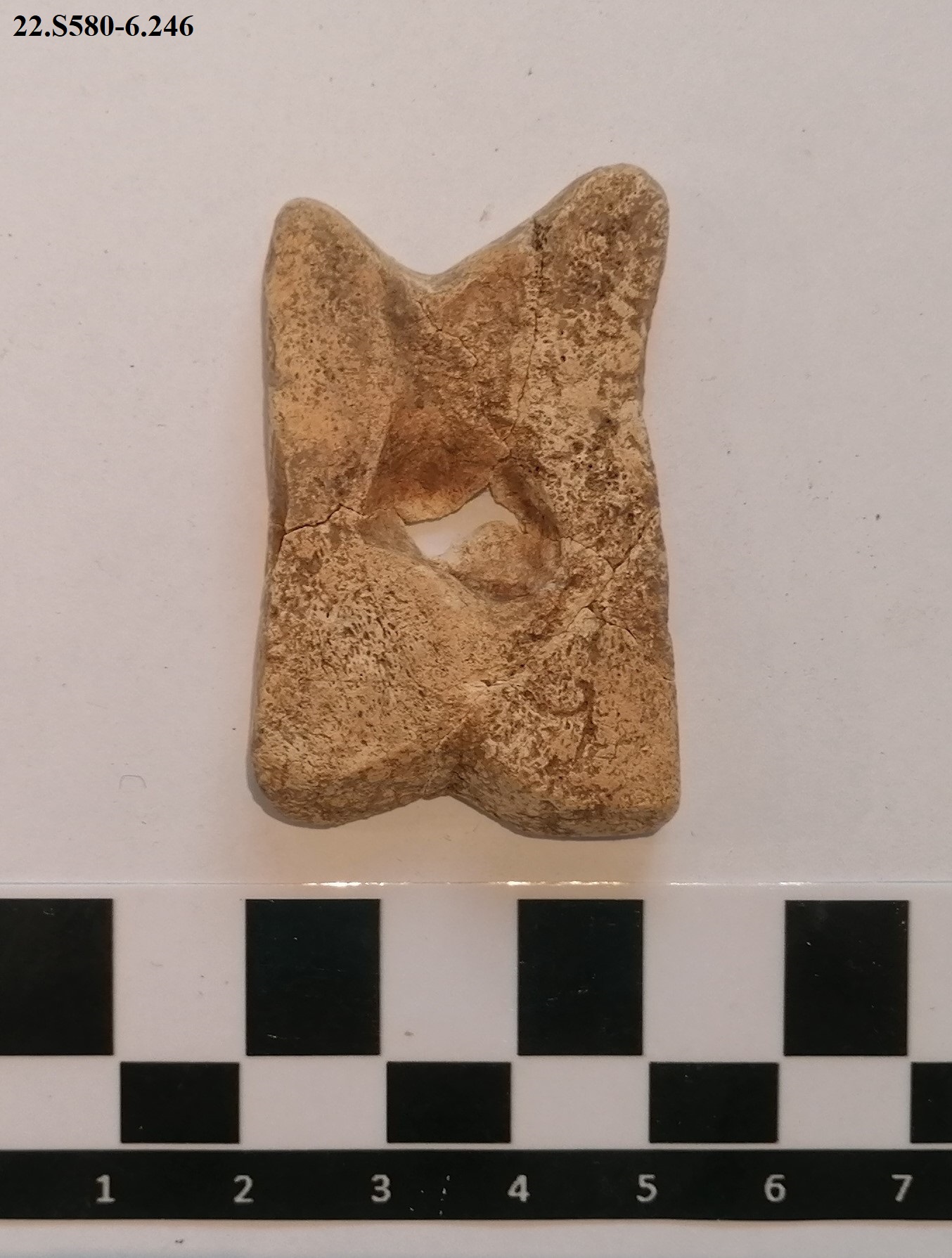 SINGOLO OGGETTO/ astragalo, PERIODIZZAZIONI/ STORIA/ Età antica/ Età romana