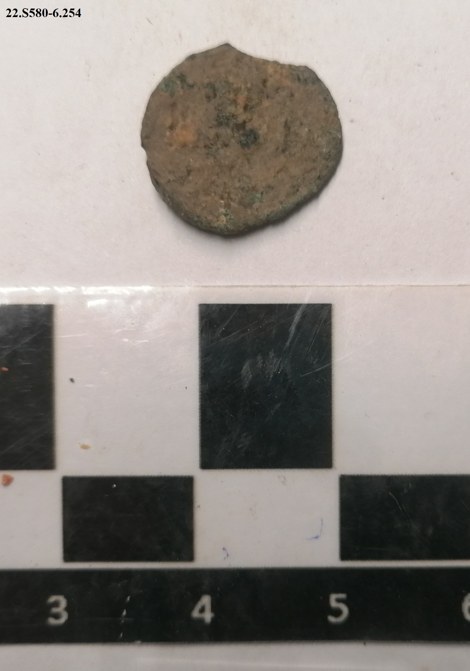 SINGOLO OGGETTO/ moneta, non determinabile