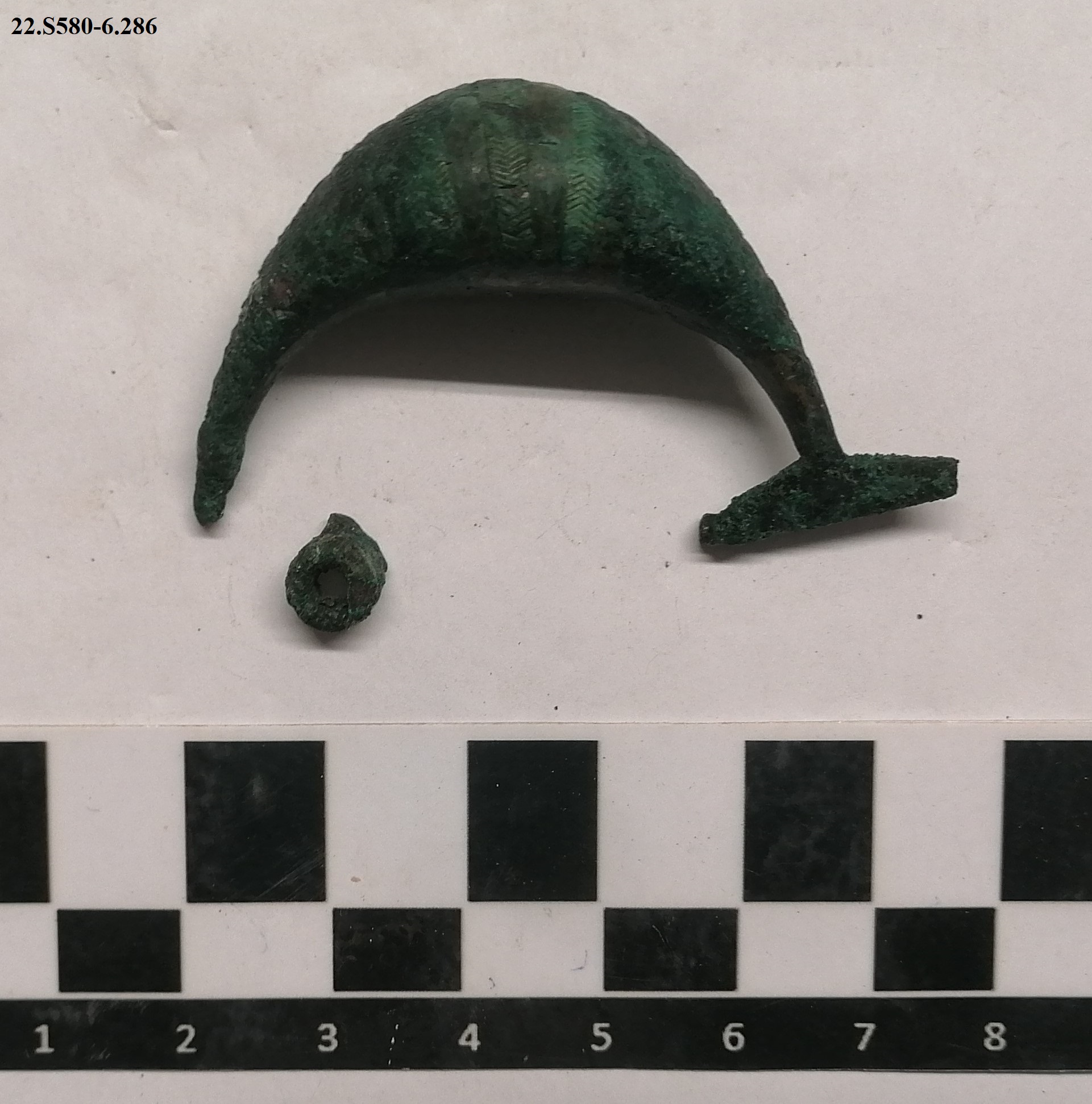 SINGOLO OGGETTO/ fibula, SECOLI/ VIII a.C