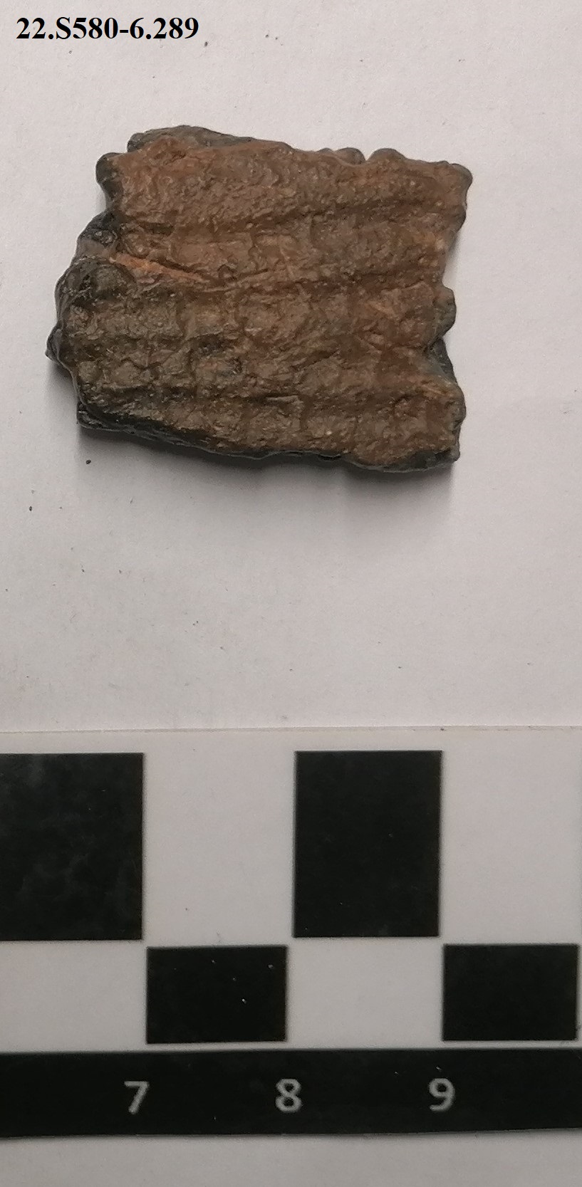 SINGOLO OGGETTO/ oggetto non identificato, PERIODIZZAZIONI/ PREISTORIA/ Eneolitico