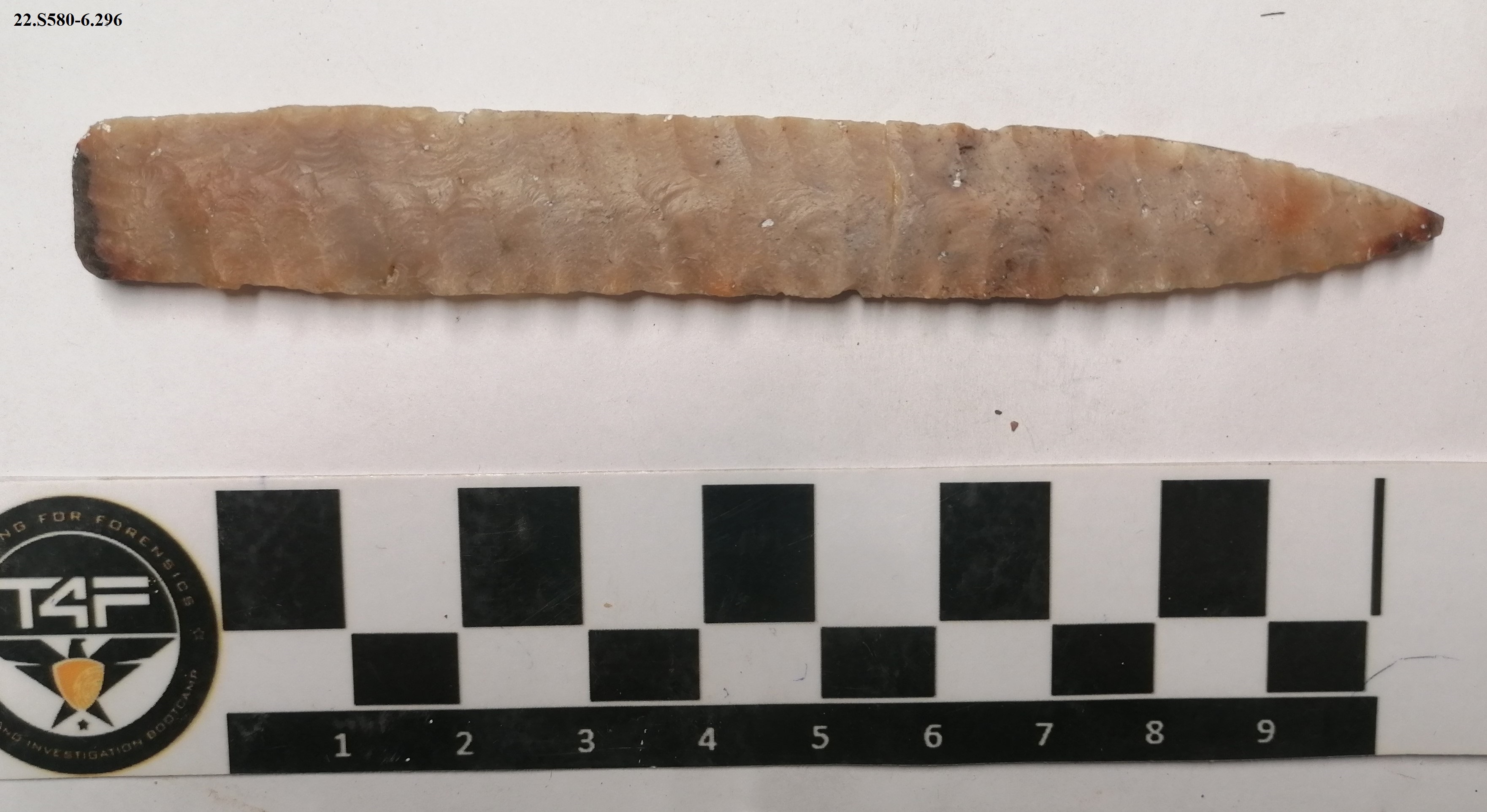 SINGOLO OGGETTO/ lama, PERIODIZZAZIONI/ PREISTORIA/ Paleolitico/ Paleolitico superiore