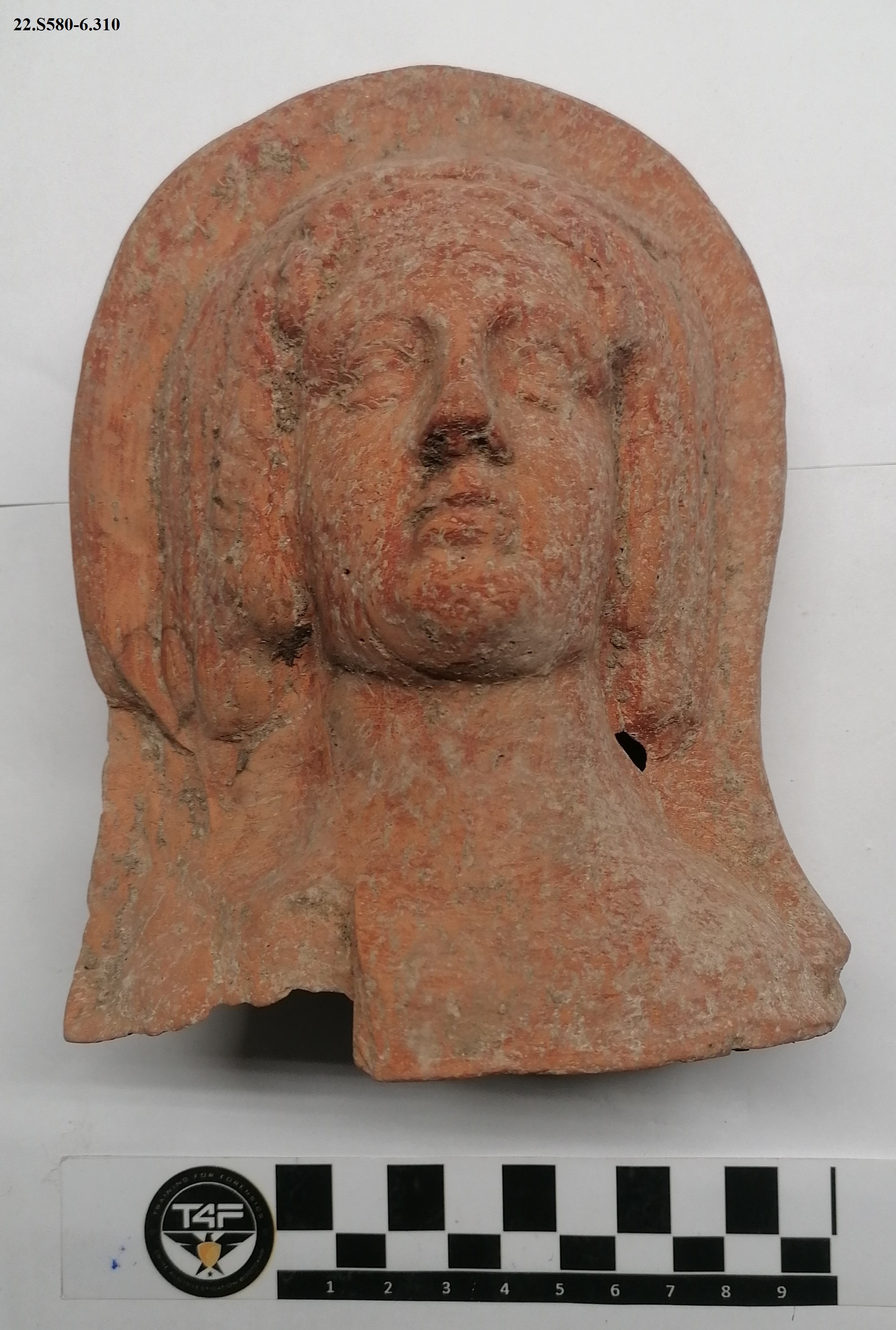 SINGOLO OGGETTO/ testa, SECOLI/ III a.C