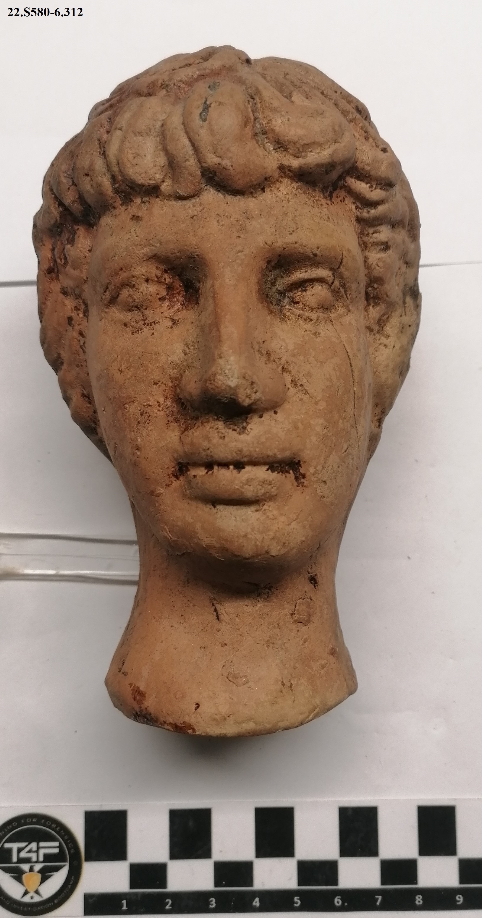 SINGOLO OGGETTO/ testa, PERIODIZZAZIONI/ STORIA/ Età antica/ Età greca/ Età ellenistica