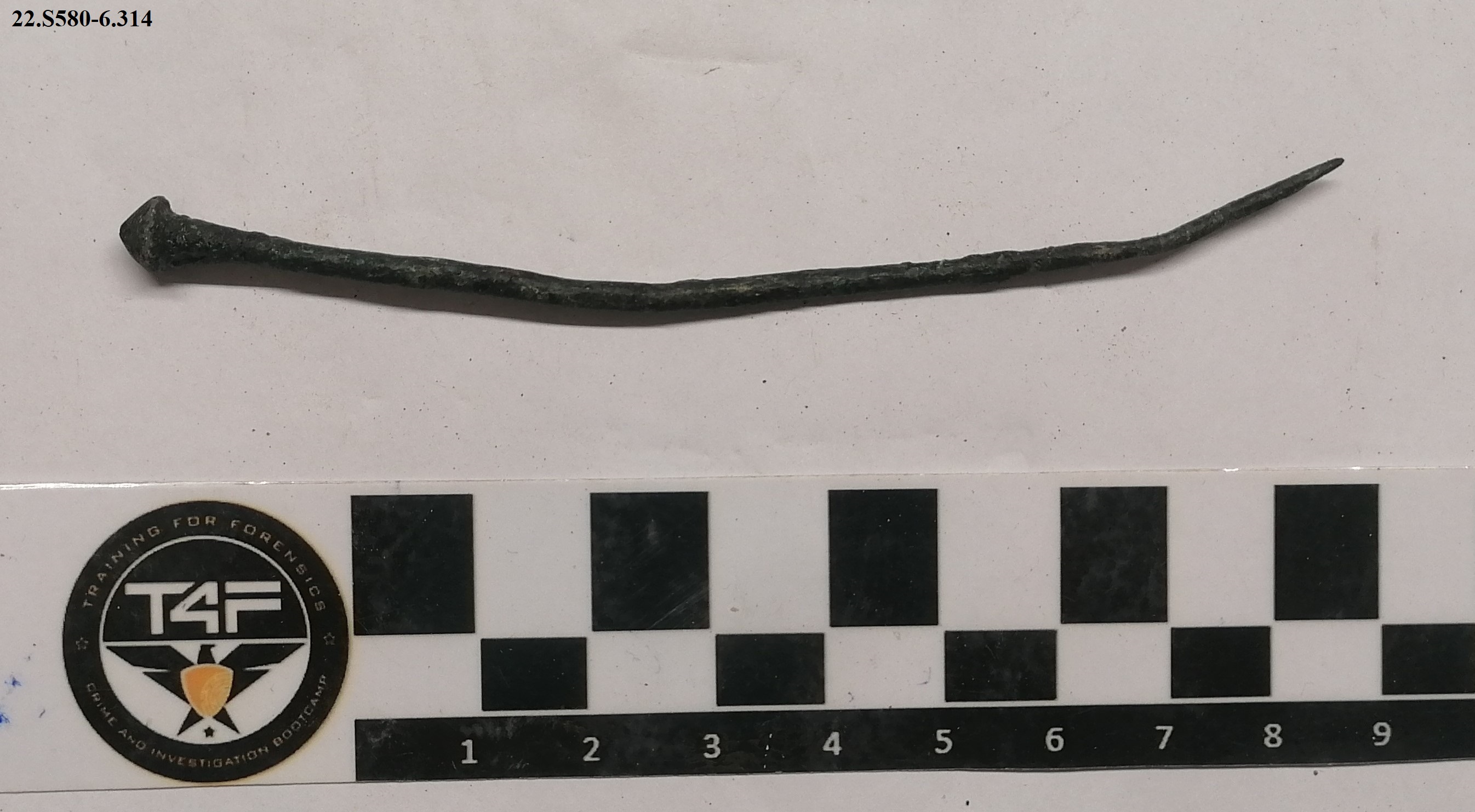 SINGOLO OGGETTO/ spillone, SECOLI/ ARCHI DI SECOLI/ XIII-XI sec. a.C