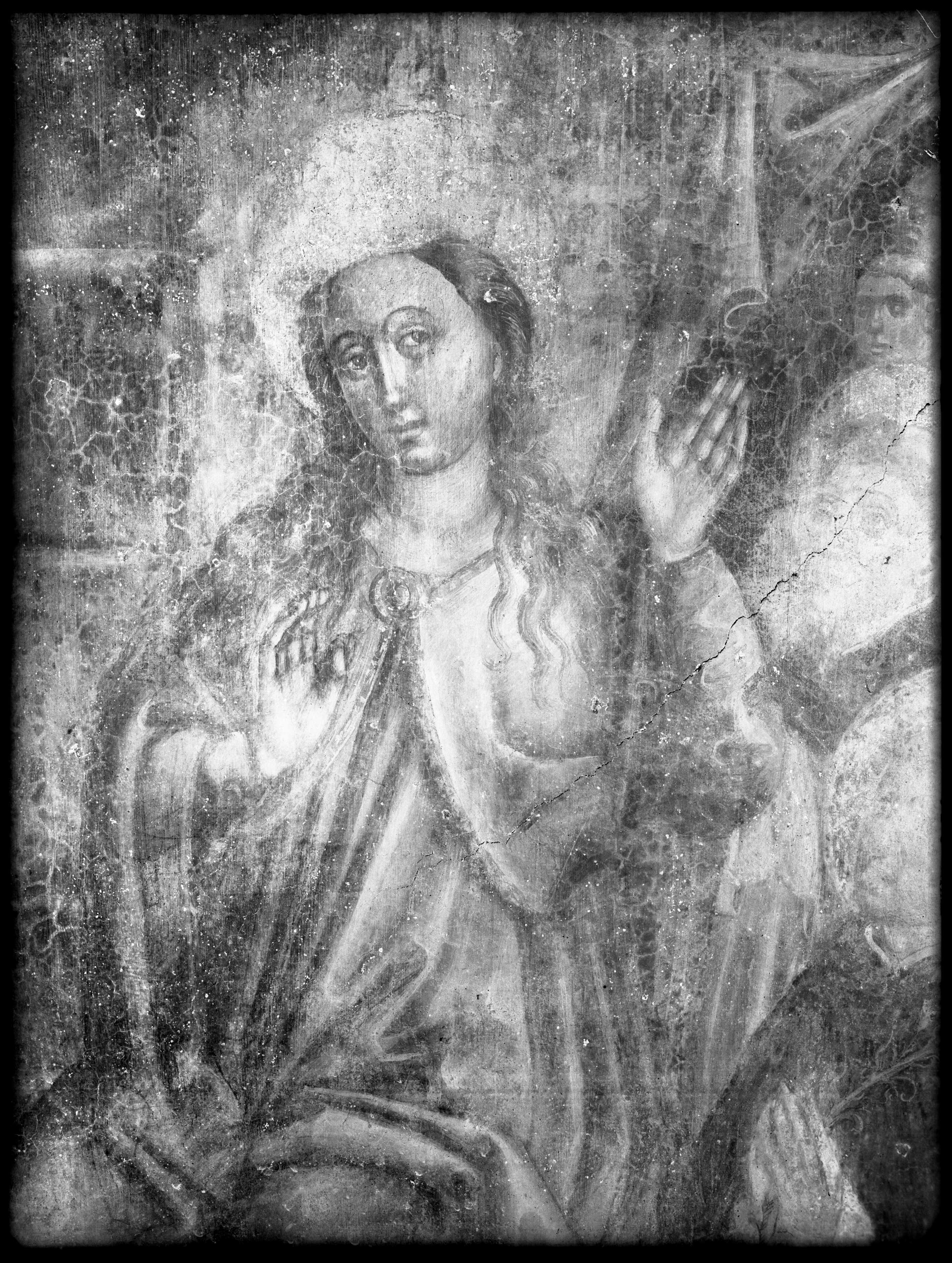 Braccesco, Carlo. Vergine incoronata - Genova - chiesa di Santa Maria di Castello (negativo) di Gasparini (XX)