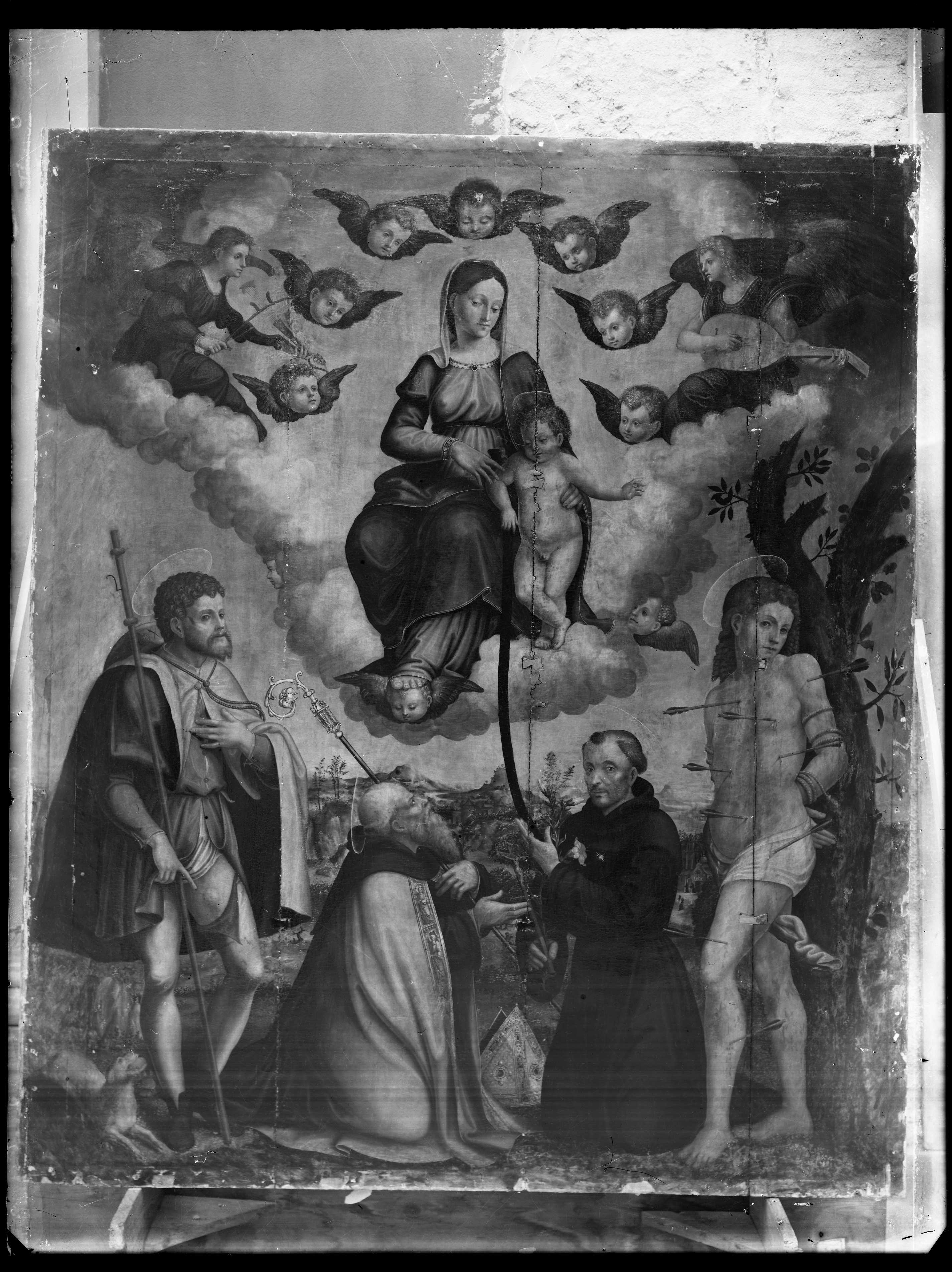 Da Como, Antonio. Madonna con Bambino e santi - Genova - chiesa di Nostra Signora della Consolazione (negativo) di Gasparini (XX)