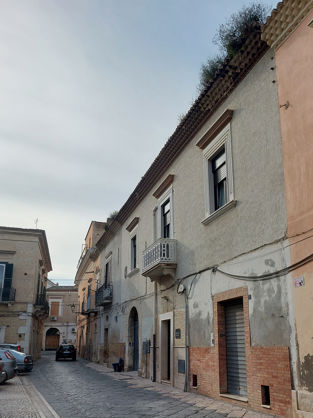 Palazzo del Pesce (palazzo, gentilizio) - Lucera (FG) 