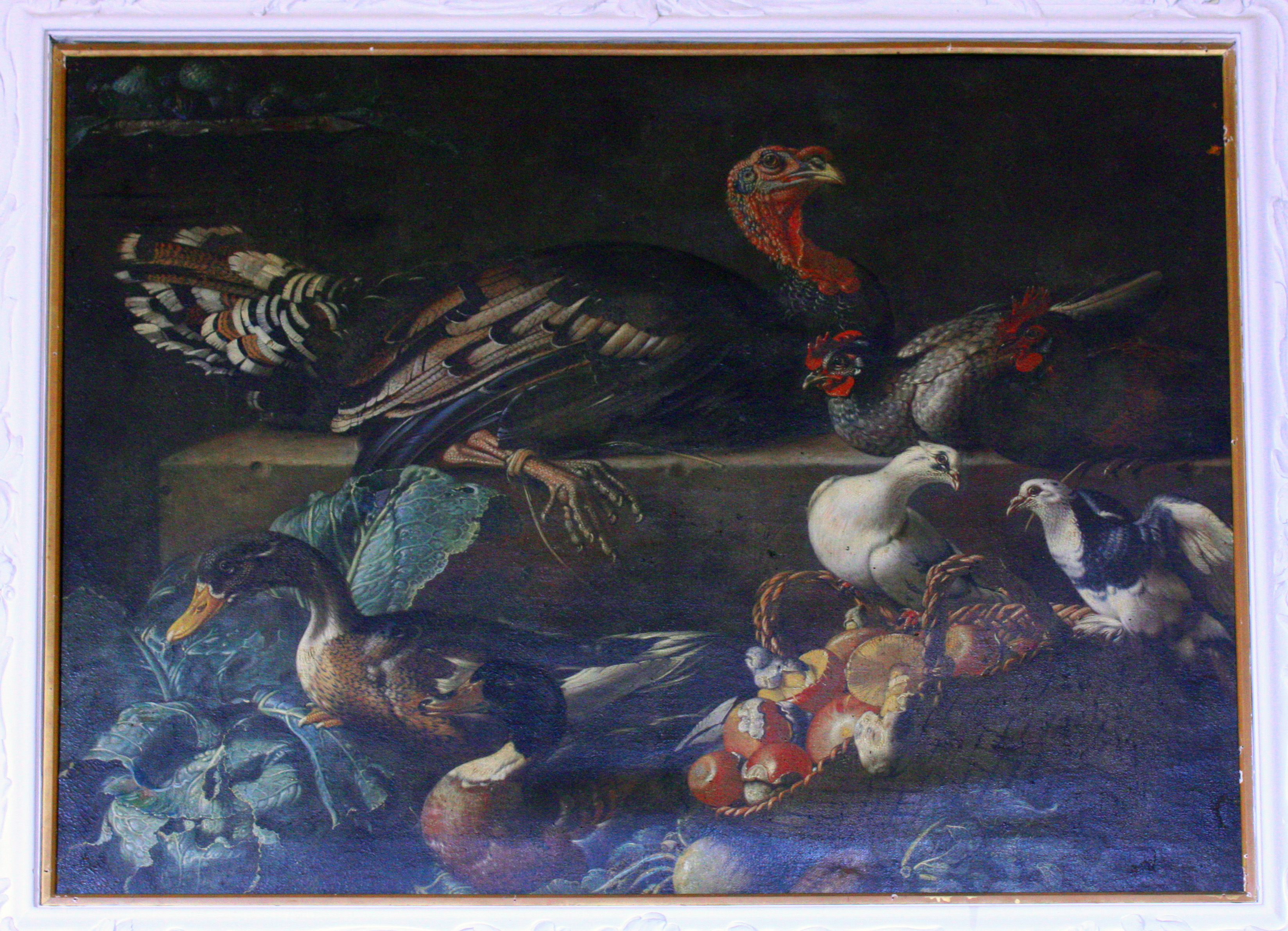 Natura morta con tacchino, anatra, piccioni e funghi (dipinto, ciclo) di Kerckhoven Jacob van der (attribuito) - ambito olandese (XVII-XVIII)