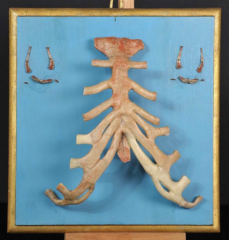 preparato anatomico, sterno, coste cartilaginee e osso ioide di Lelli Ercole (e aiuti) (sec. XVIII)