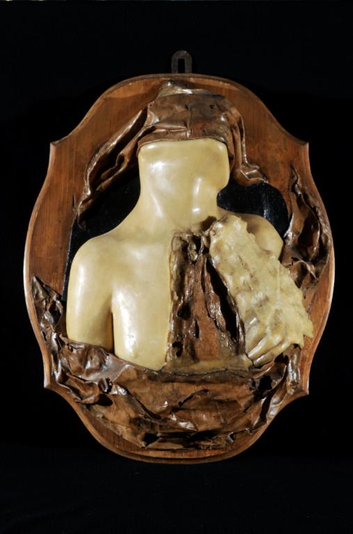 preparato anatomico, torace maschile di Morandi Anna, Manzolini Giovanni (sec. XVIII)