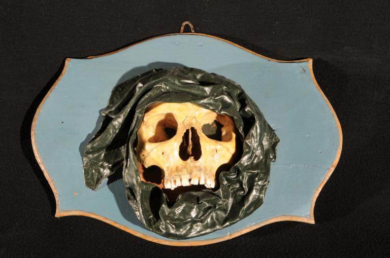 preparato anatomico, ossa della faccia di Morandi Anna (sec. XVIII)