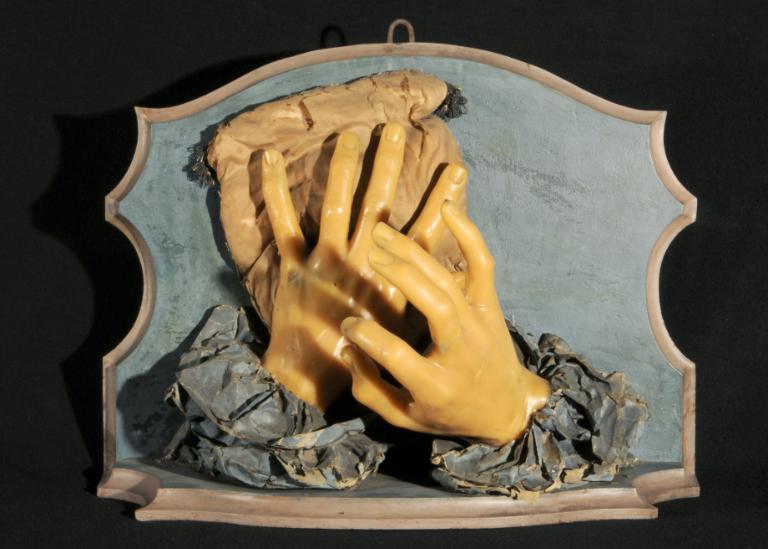 preparato anatomico, coppia di mani di Morandi Anna (sec. XVIII)