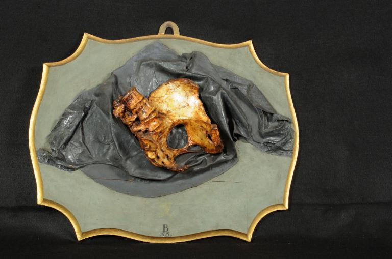 preparato ostetrico, osso pelvico femminile di Manzolini Giovanni, Morandi Anna (sec. XVIII)