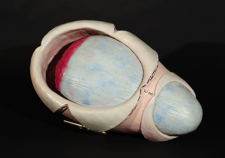 preparato ostetrico, modello di utero di Giovan Battista Sandi (sec. XVIII)