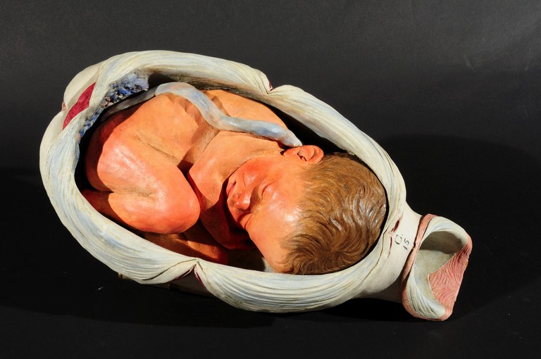 preparato ostetrico, modello di utero di Giovan Battista Sandi (sec. XVIII)