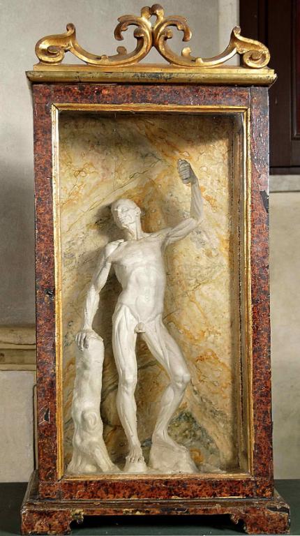 Bozzetto dello spellato sinistro che sorregge il baldacchino della cattedra del Lettore nel Teatro anatomico dell'Archiginnasio, Modello in gesso (scultura) di Lelli Ercole (sec. XVIII)