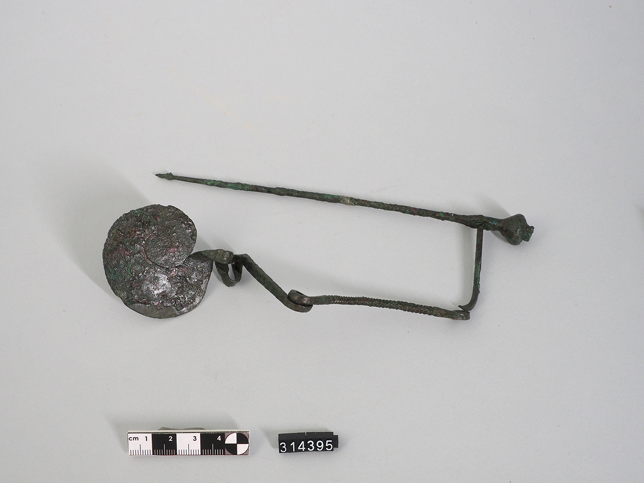 fibula/ serpeggiante con occhiello e staffa a disco (VIII a.C)