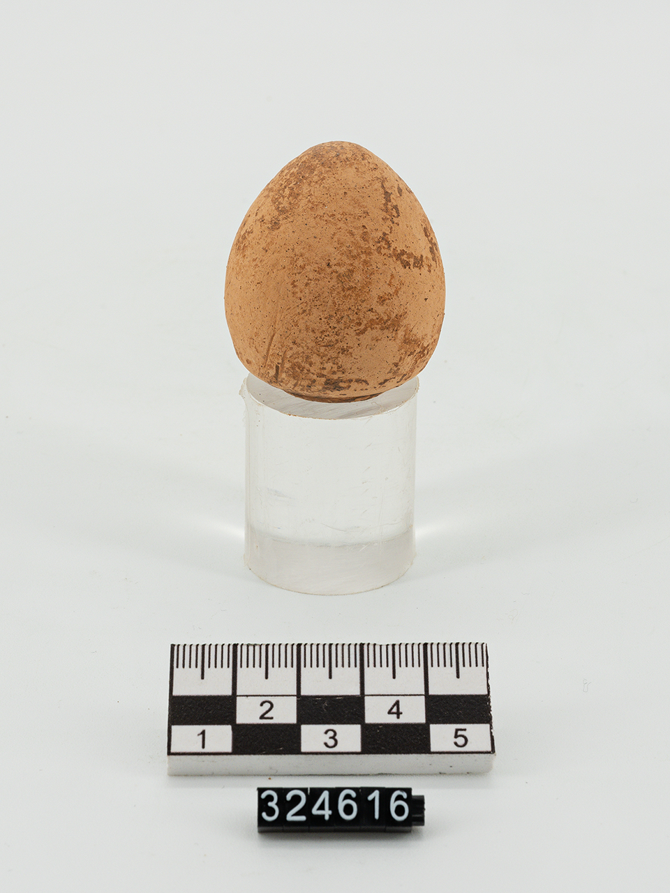uovo (seconda metà V a.C)