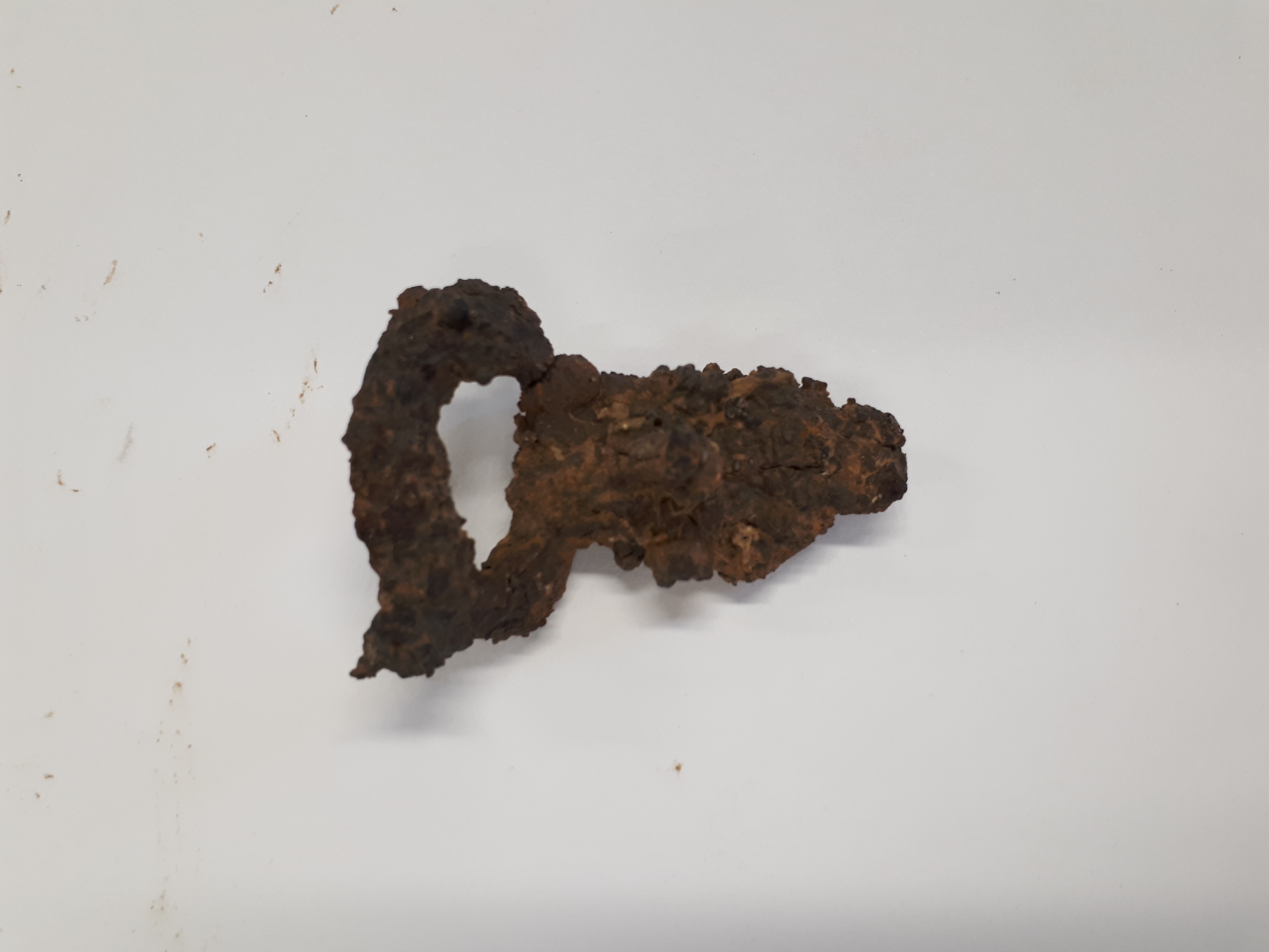 SINGOLO OGGETTO/ fibbia, SECOLI/ VII