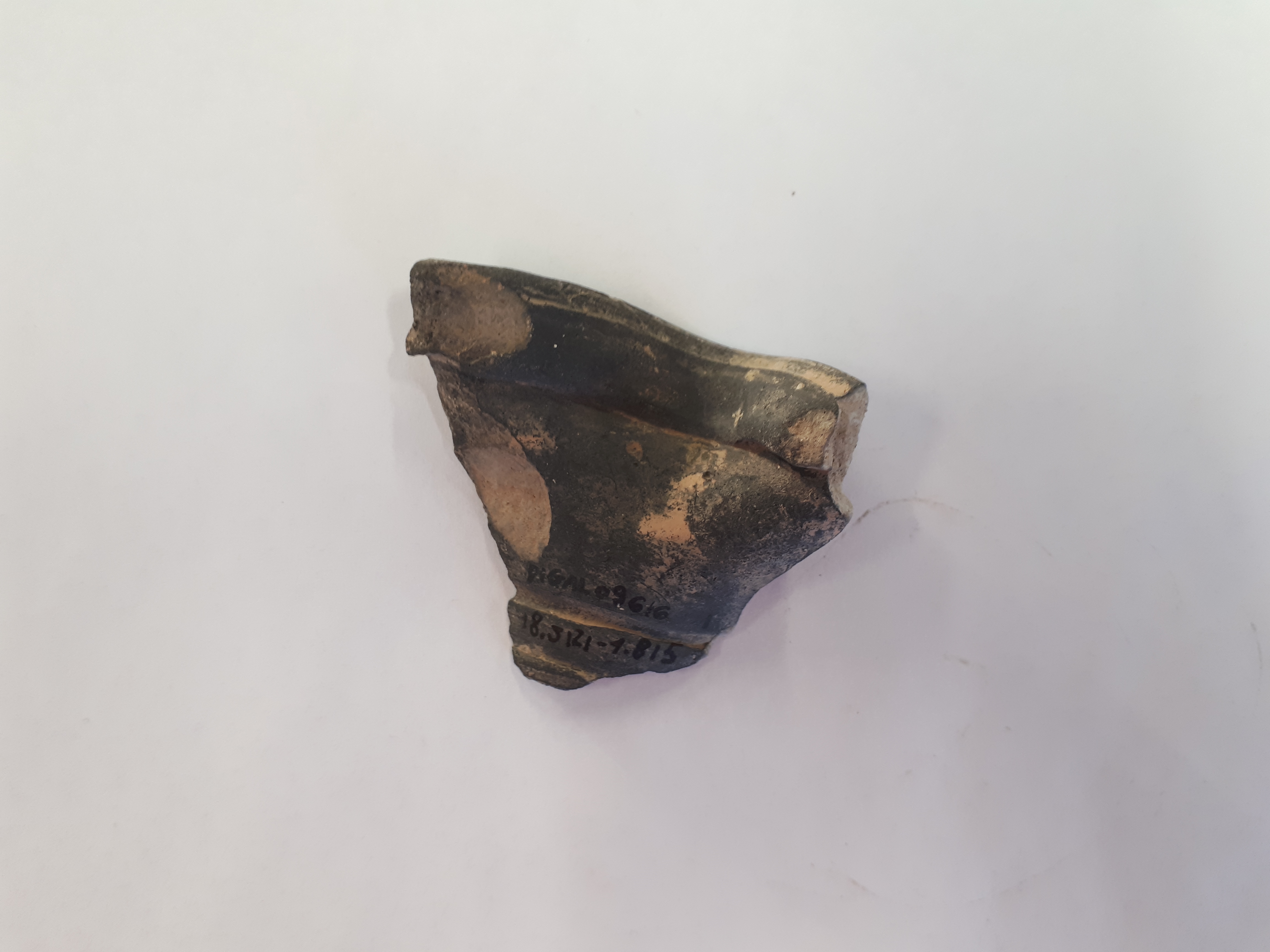 SINGOLO OGGETTO/ brocca, Età romana