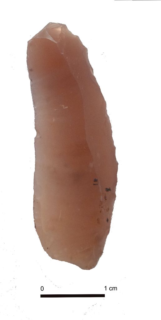 SINGOLO OGGETTO/ lama, Paleolitico superiore Epigravettiano