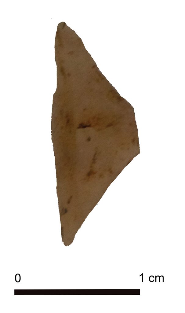 SINGOLO OGGETTO/ trapezio, Paleolitico superiore Epigravettiano