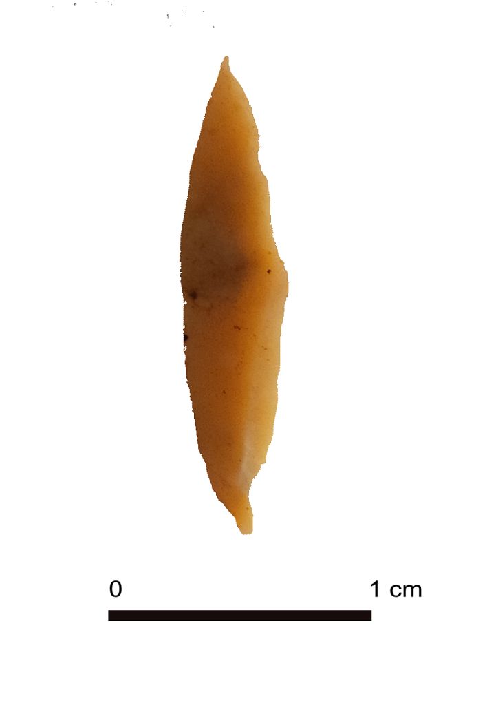 SINGOLO OGGETTO/ Punta, Paleolitico superiore Epigravettiano