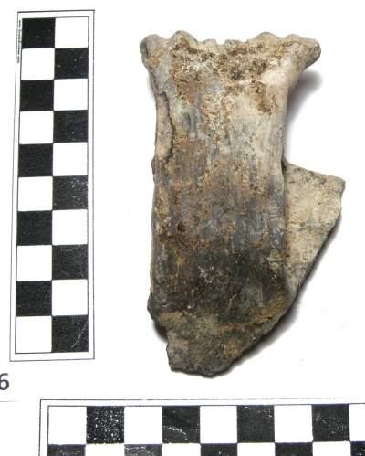 SINGOLO OGGETTO/ presa, PERIODIZZAZIONI/ PROTOSTORIA/ Età del Bronzo