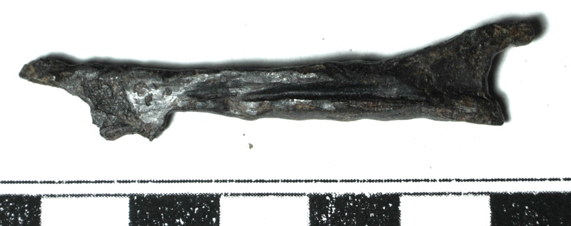 SINGOLO OGGETTO/ chiave, PERIODIZZAZIONI/ STORIA/ Età medievale/ Basso Medioevo