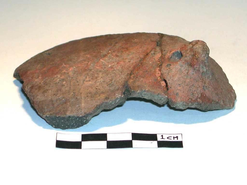 olla/ ovoide, parete (Tardo Neolitico-inizi dell'età del Bronzo)