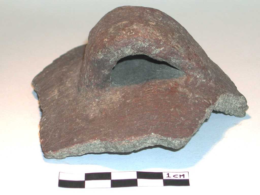 olla/ ovoide, ansa (Tardo Neolitico-inizi dell'età del Bronzo)