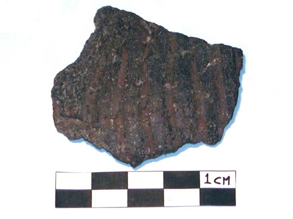 recipiente/ parete (Neolitico-Età del Bronzo medio-recente)