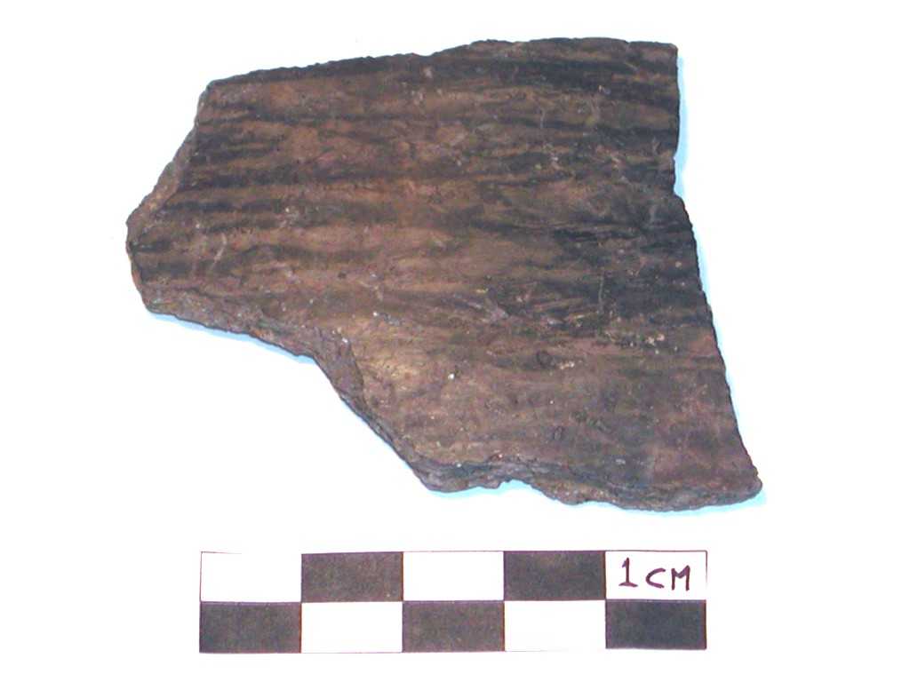 recipiente/ parete (Neolitico-Età del Bronzo medio-recente)