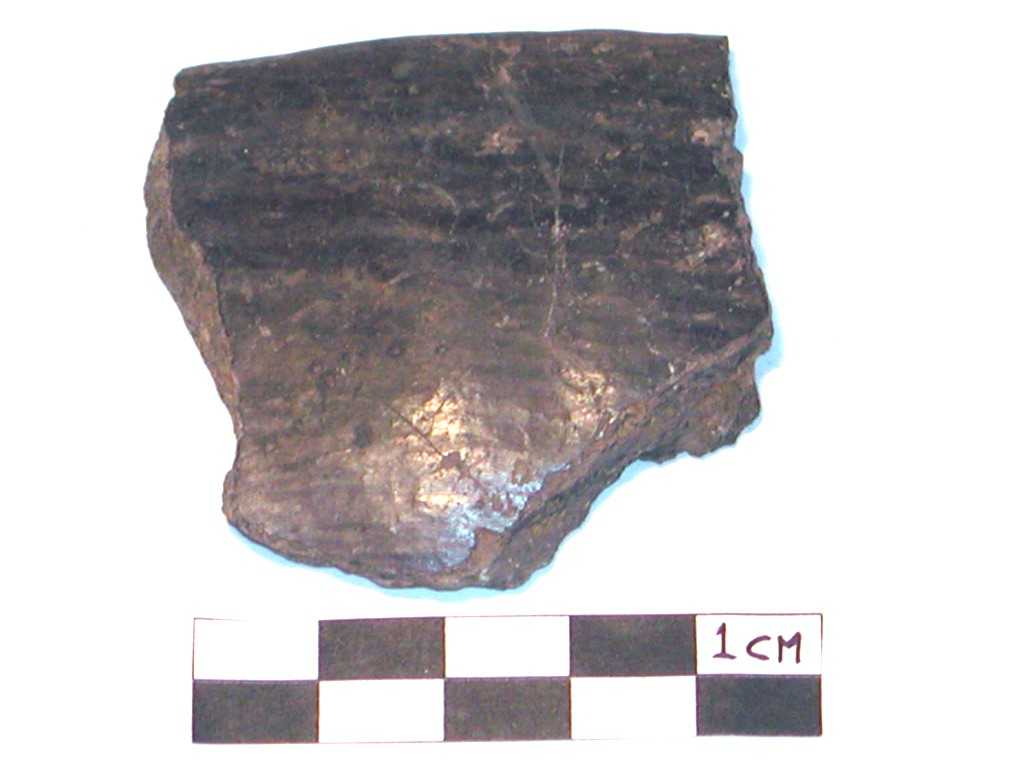 scodella/ orlo (Neolitico-Età del Bronzo medio-recente)