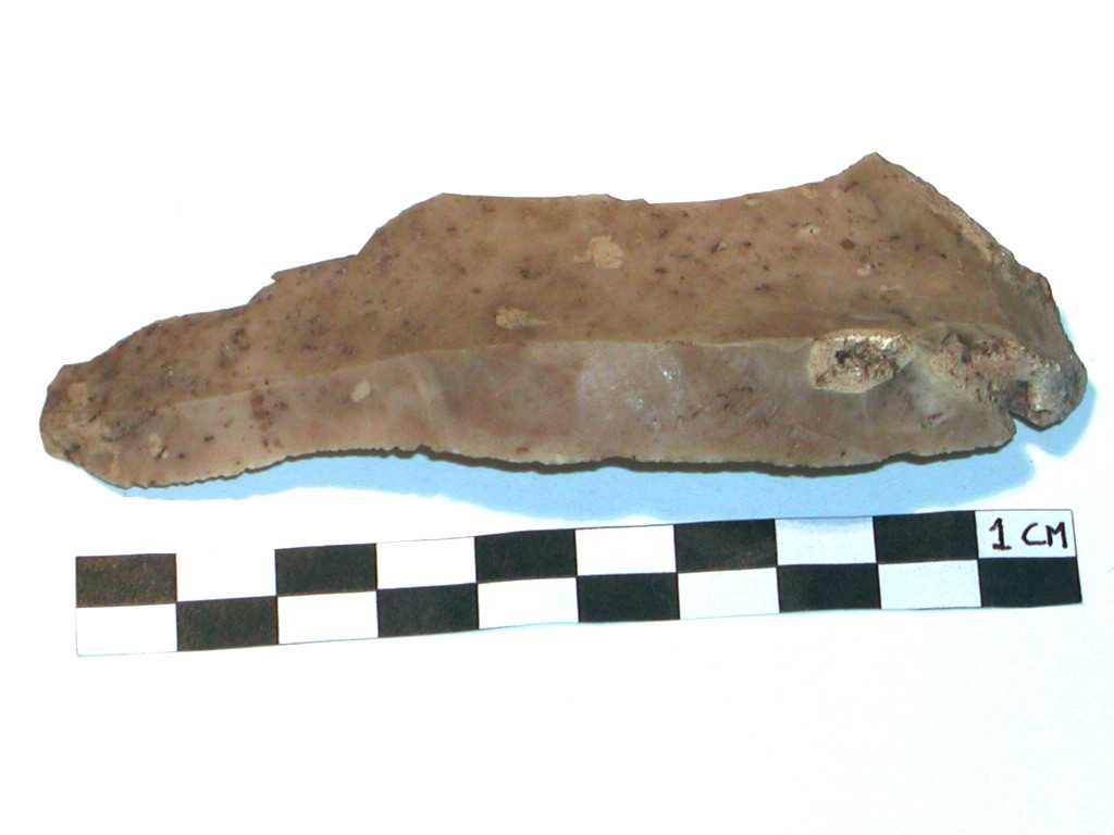 lama (Neolitico-Età del Bronzo medio-recente)