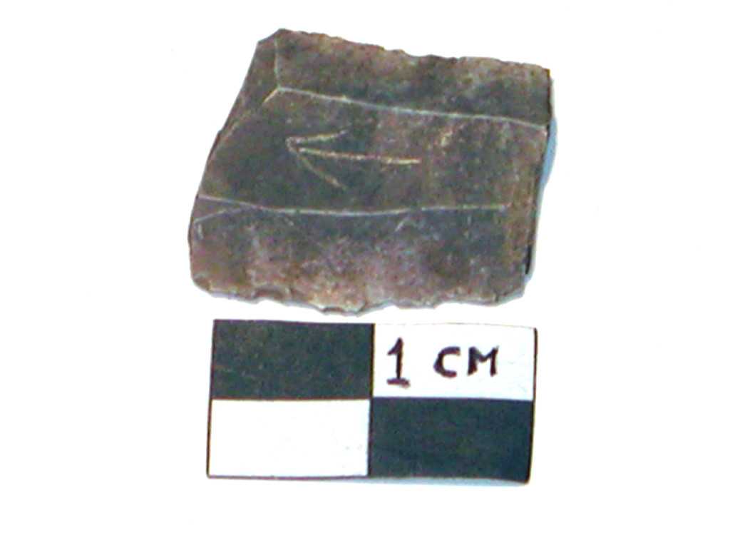 lama (Neolitico medio-tardo)